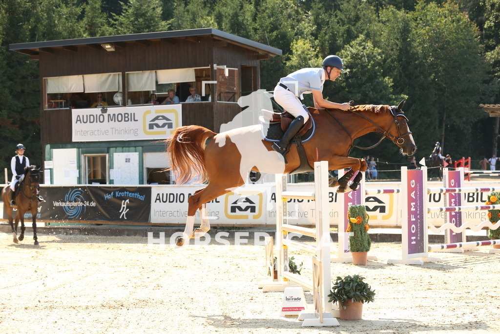 DL2Q6968 | Willkommen bei Brunnmayr - Design & Fotografie – Ihrem Spezialisten für Reitturniere und Pferdeveranstaltungen in Oberösterreich, Salzburg und Bayern! Seit über 17 Jahren sind wir leidenschaftlich dabei.