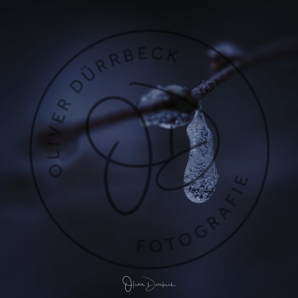 natur-pflanzen-22 | Shop für Kindergartenfotografie und andere Fotoprodukte von Oliver Dürrbeck Fotografie. - Realisiert mit Pictrs.com