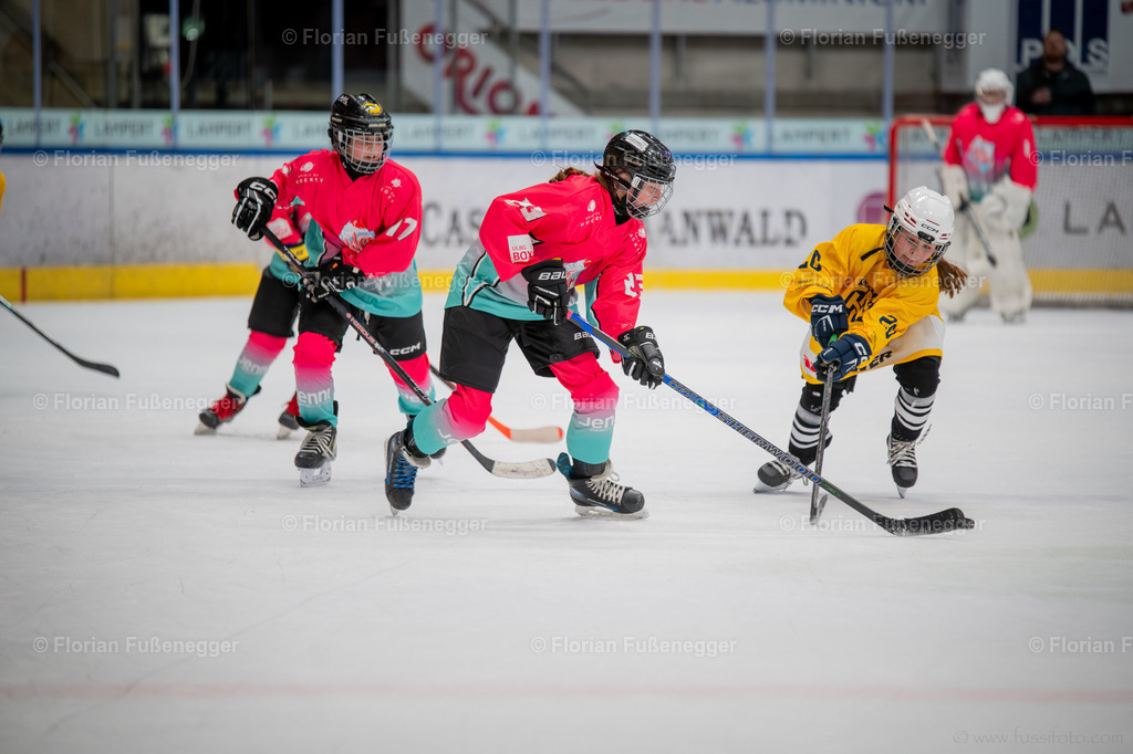 DSC_3438 | "Fussifoto.com – Ihr Ansprechpartner für hochwertige Fotografie! Entdecken Sie kreative Bilder und professionelle Dienstleistungen. Kontaktieren Sie uns für Ihre Projekte!"