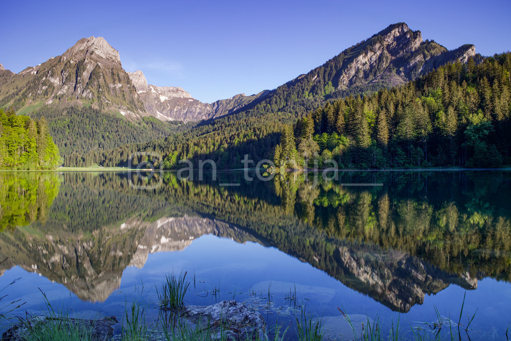 A.Trupina-245 | antonija-trupina - Realisiert mit Pictrs.com