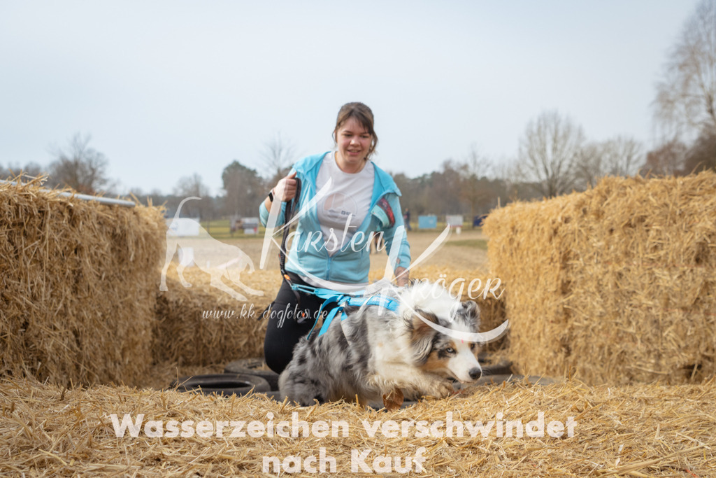 1035_ZZ96398 | kk-dogfotos