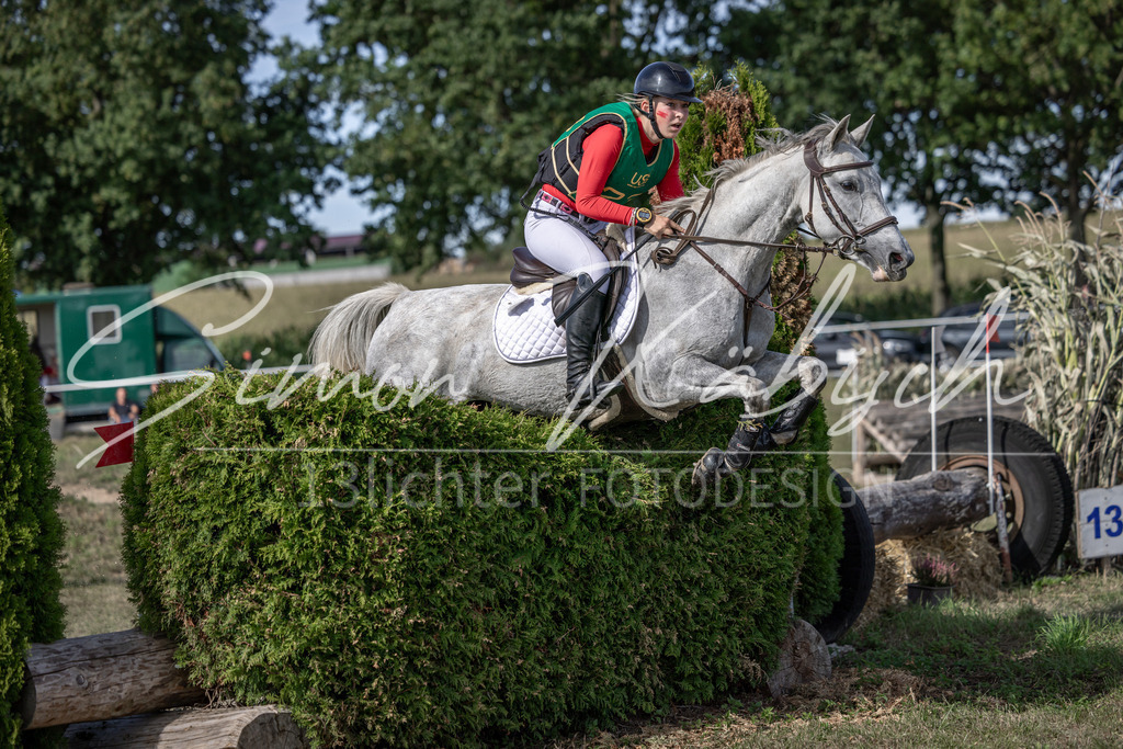 20250907-_3LI2408 | Tierfotografie Pferde, Hunde, Katzen, Haustiere.
Turnierfotografie Reitturniere, Reiten, Springreiten, Dressur in Hanau, dem Main-Kinzig-Kreis und dem Rhein-Main- Gebiet um Frankfurt