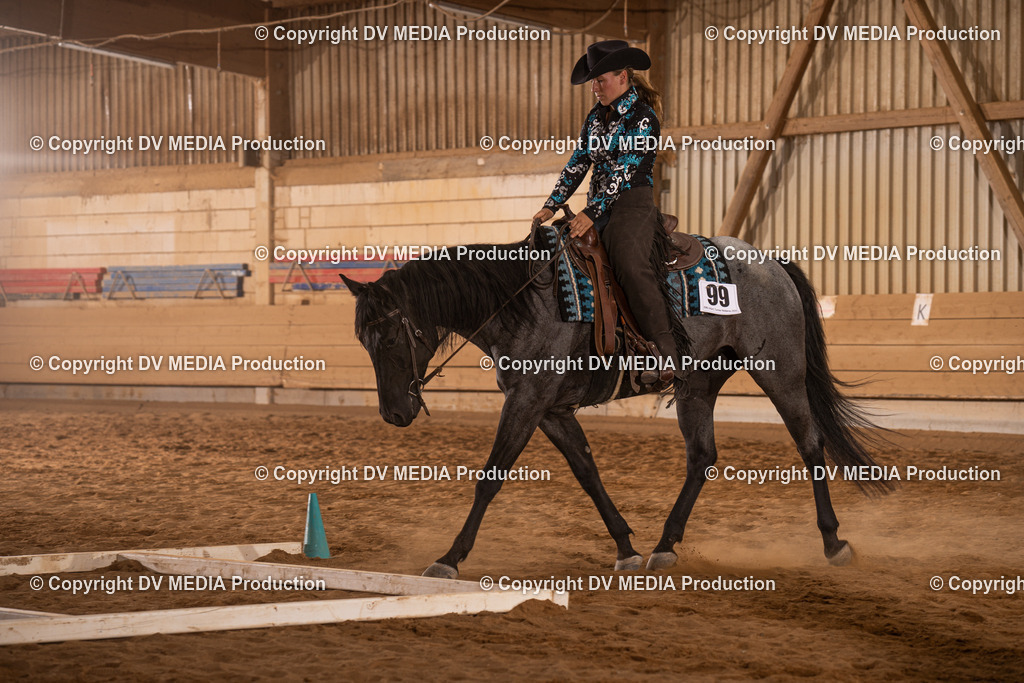 NID00706 | dv-media-shop - Realisiert mit Pictrs.com