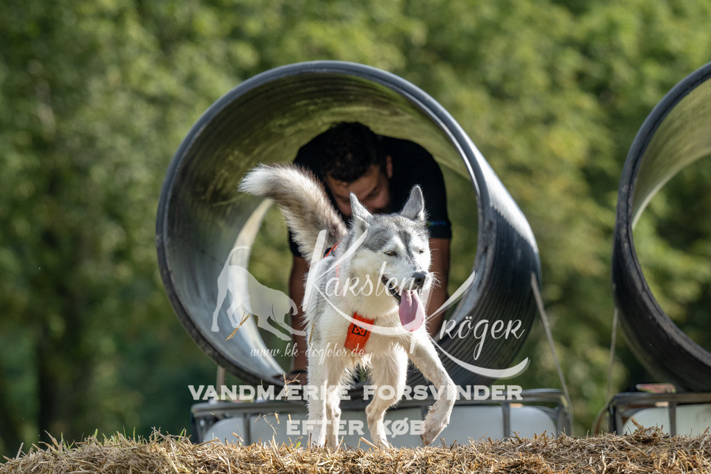 0935_ZZ90732 | kk-dogfotos