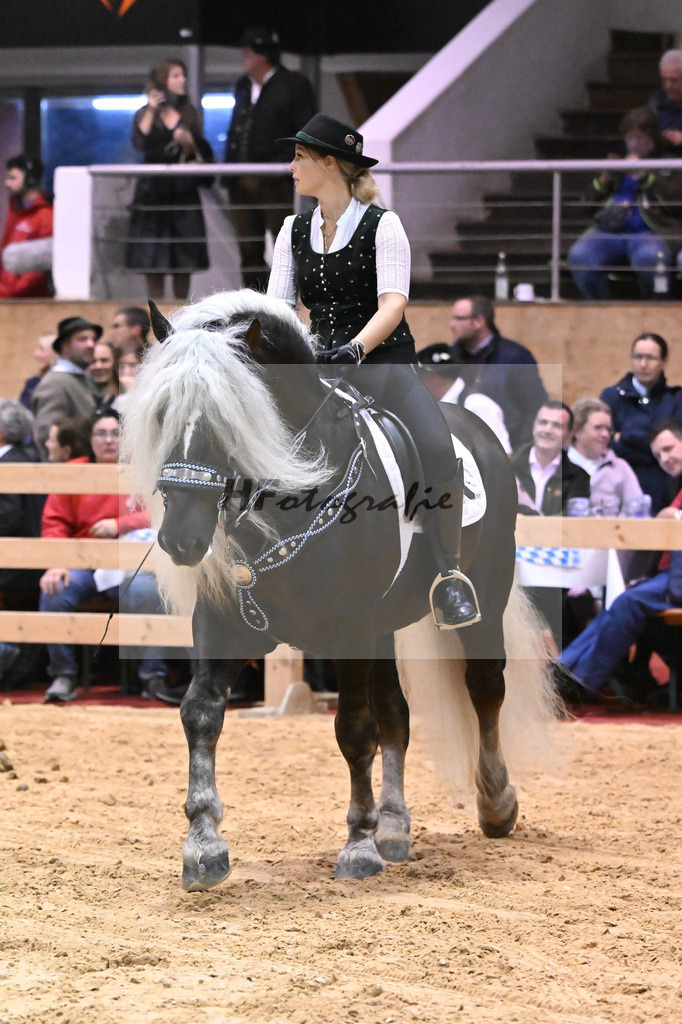 Schauprogramm_54222580 | hf-fotografie - Realisiert mit Pictrs.com