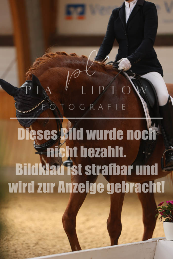 IMGS0484 | pl-fotografie