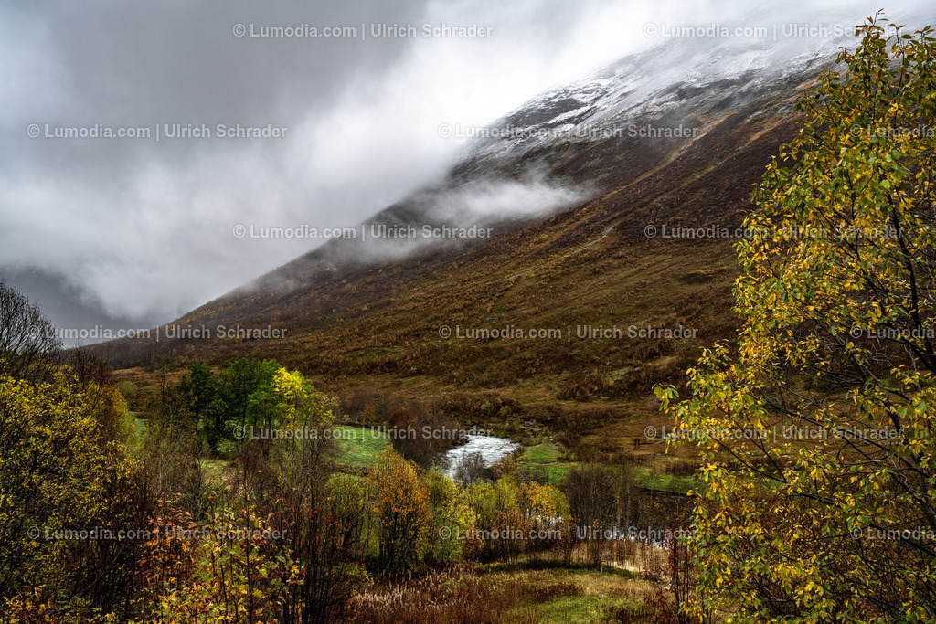 10047-10030 - Am Geirangerfjord - Norwegen | Stockfoto und Bilderpool mit Bildmaterial aus Deutschland, dem Harz, Halberstadt, Quedlinburg, Wernigerode und weltweit. Qualitativ hochwertige und professionelle Fotos anschauen und kaufen. - Realisiert mit Pictrs.com
