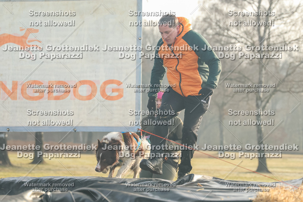 Dog Paparazzi - SD North Sa 830-900-55 | Dog Paparazzi Jeanette Grottendiek Fotografie & Videografie - Realisiert mit Pictrs.com