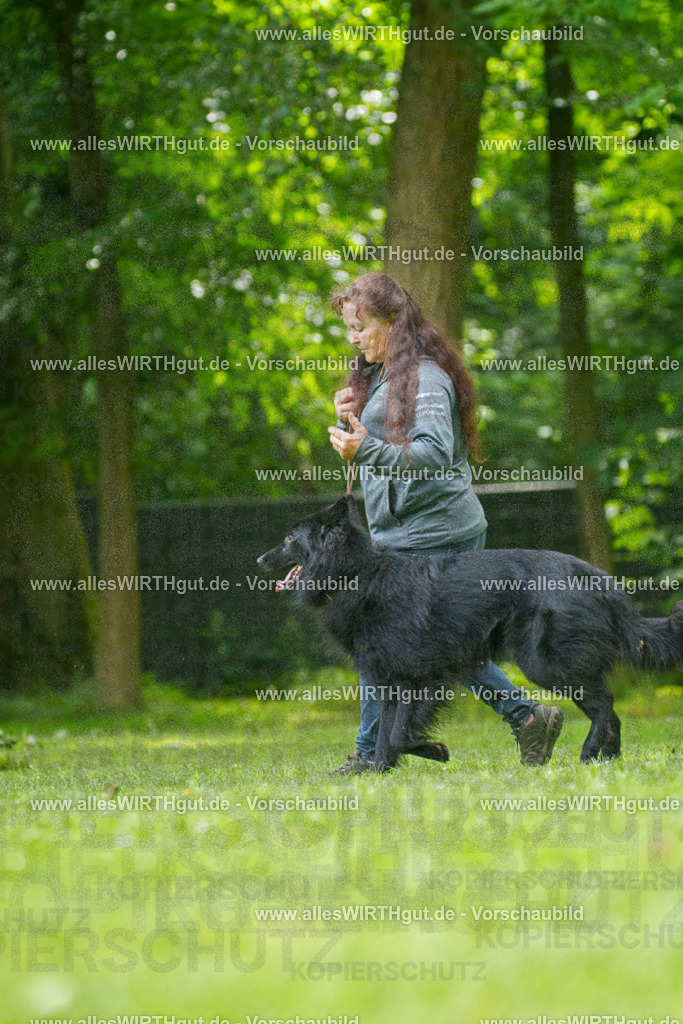 @allesWIRTHgut_Tierfotografie - www.allesWIRTHgut.de - 7R501652 | Professionelle Tierfotografie in Mönchengladbach von Daniel Wirth (allesWIRTHgut). Liebevolle & natürliche Bilder von Hunden & Katzen für unvergessliche Erinnerungen.