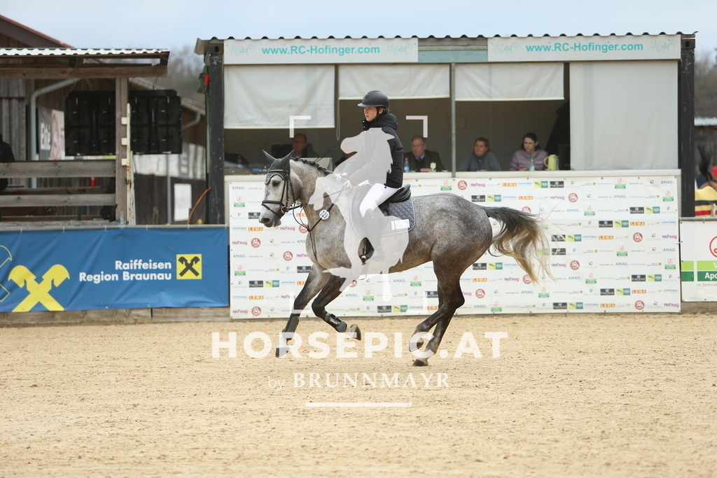 DL2Q5880 | Willkommen bei Brunnmayr - Design & Fotografie – Ihrem Spezialisten für Reitturniere und Pferdeveranstaltungen in Oberösterreich, Salzburg und Bayern! Seit über 17 Jahren sind wir leidenschaftlich dabei.