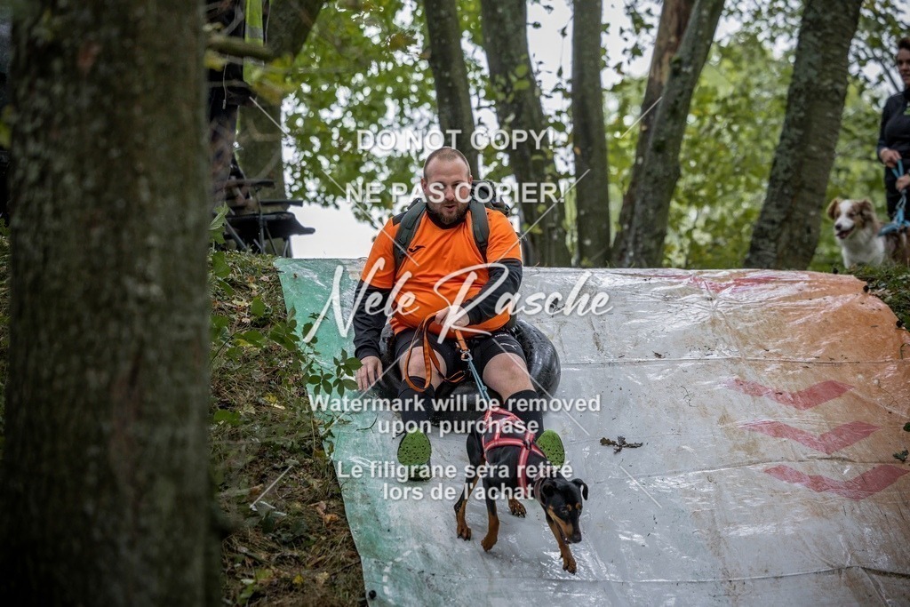 nelerasche_Hunsrück_Sa0930-1000_402-final | nelerasche