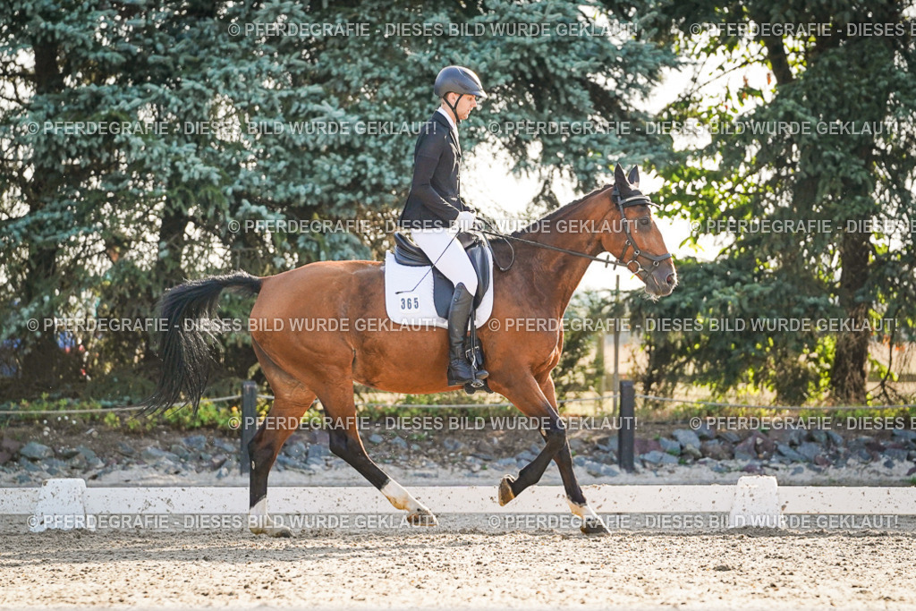 DSC08409 | Pferdegrafie