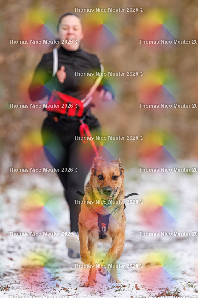 Thomas_Nico_Meuter(C)_223A8554 | Bild von Thomas Nico Meuter - Realisiert mit Pictrs.com