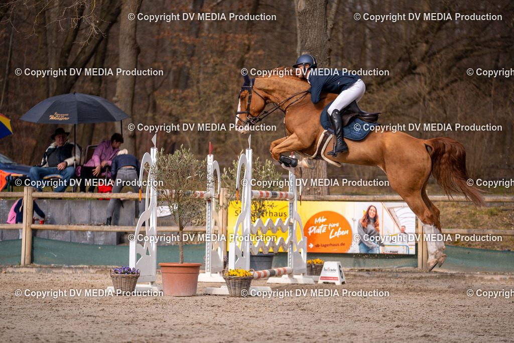 Kranichstein Tag 2-2113 | dv-media-shop - Realisiert mit Pictrs.com