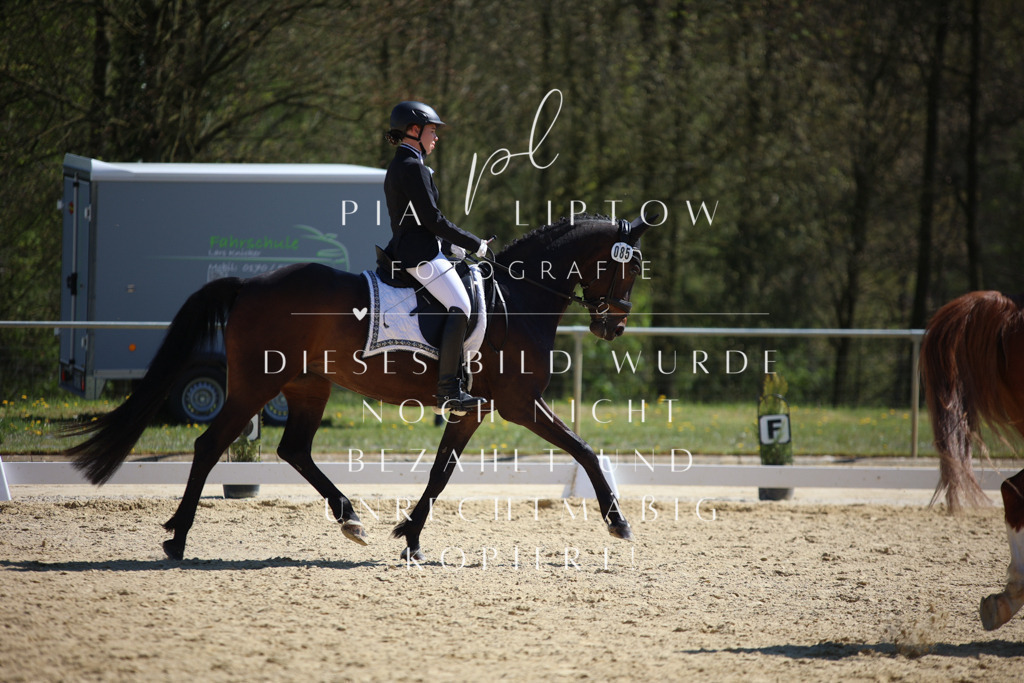 IMGT1574 | pl-fotografie