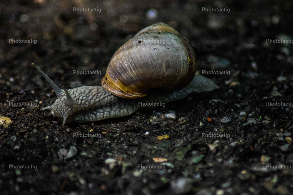 IMG_3293 | phototaetig