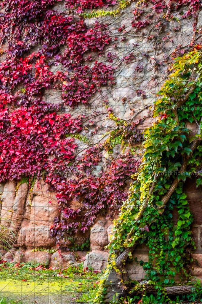 20251019172322D75_8933 | Kaufen sie online außergewöhnliche Fotografien auf Leinwand Acrylglas Fotoprint Aludibond von holgerweigeltfotografie - Realisiert mit Pictrs.com