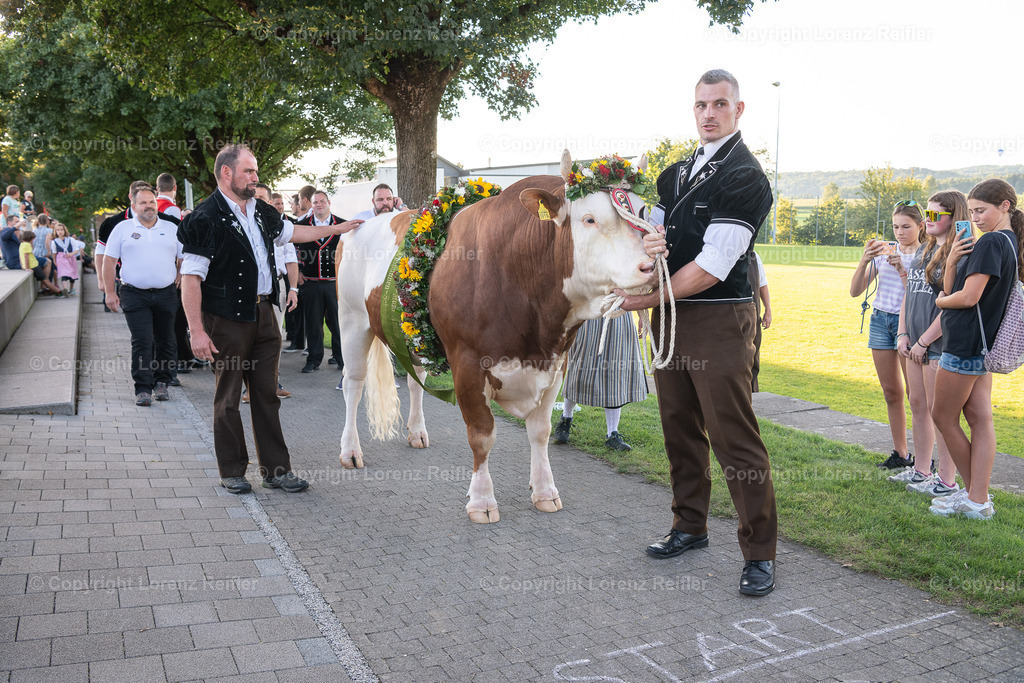 Schwingen -  Unspunnen Empfang 2023 | Wigoltingen, 2.9.23, Schwingen - Unspunnen Empfang.