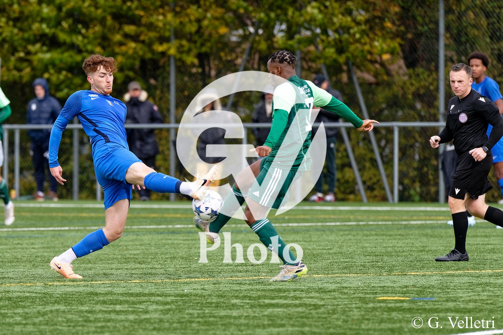 DSC_6620 | Velletri Photo