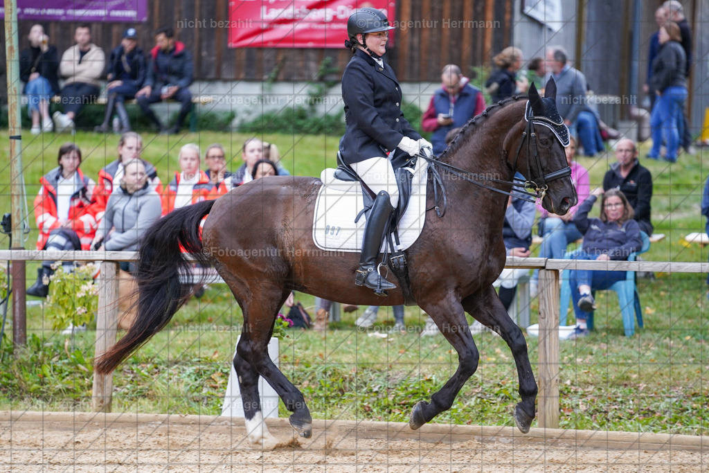 20231007-SN_00975 | Professionelle Turnier- und Reitsportfotografie - mit dem Finger am Auslöser. Pferdebilder aus dem Reitsport von den Turnierfotografen  Bayern , Pferdefotograf Bayern, Pferdeshooting Turnierbilder, Hochzeitsfotograf, Eventfotograf, Hochzeitsbilder
