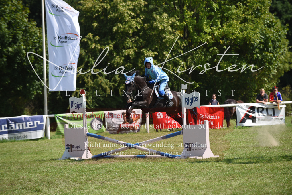 DSC_0222 | Pferde- und Turnierfotografie in Westsachsen. Pferdeportraits, Auftragszeichnungen und intuitive Kunst.