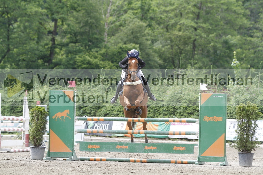 _MG_9229 | equestrian-live-com
