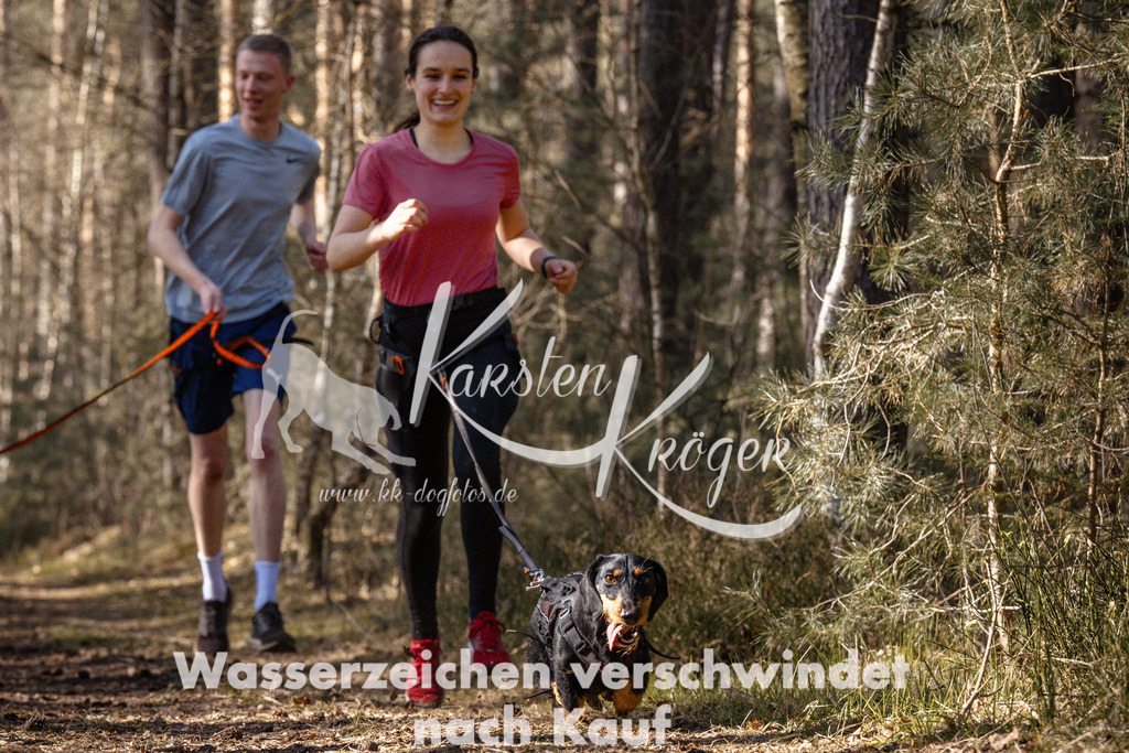1411_ZZ94810 | kk-dogfotos