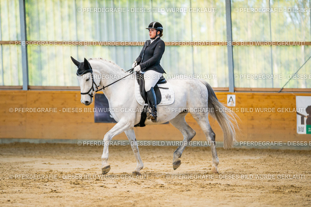 DSC06200 | Pferdegrafie