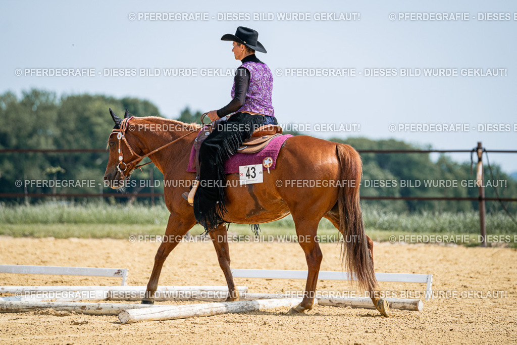 DSC00265 | Pferdegrafie