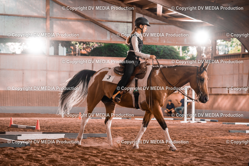 NE300077 | dv-media-shop - Realisiert mit Pictrs.com