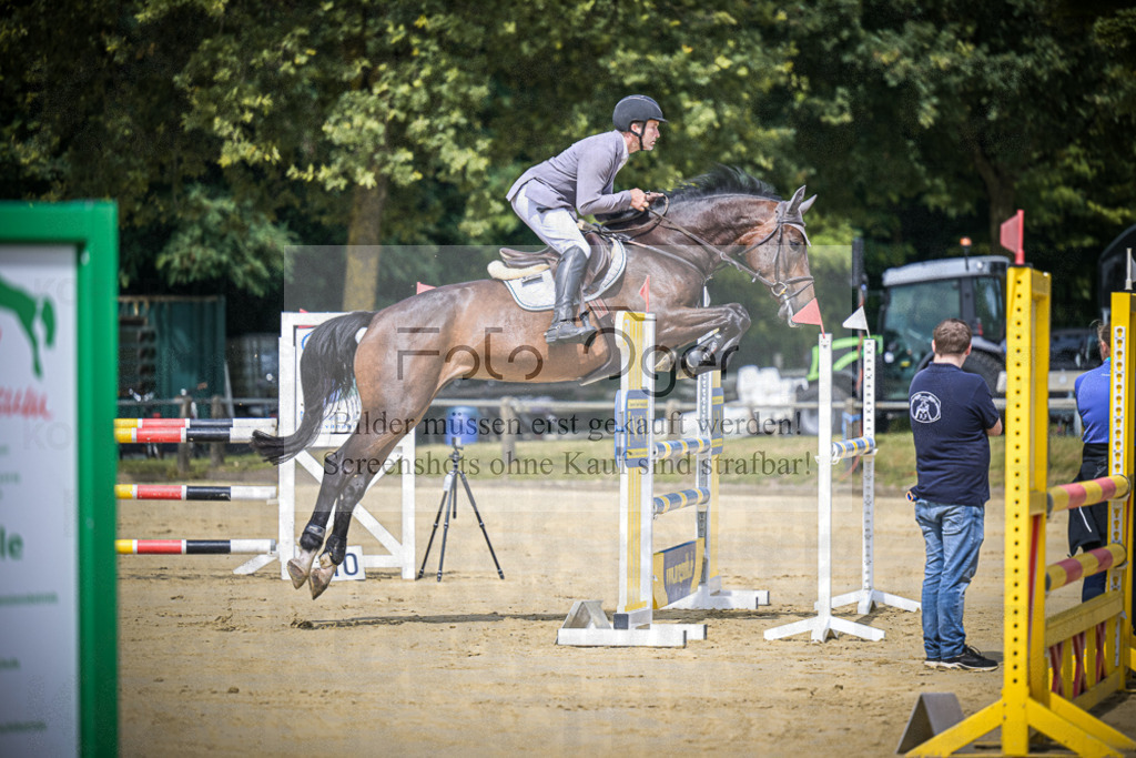 DOS_6873 | Entdecke hochwertige Reitturnierfotos von Foto Oger. Professionell, emotional und authentisch – jetzt Lieblingsmomente im Shop bestellen.Deutschlandweite Turnierfotografie. - Realisiert mit Pictrs.com