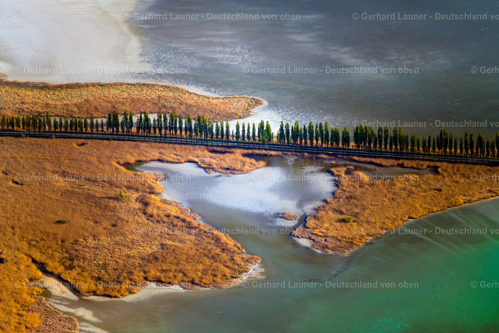 4024134 | Pappelalle an der Pirminstrasse, Wollmatinger Ried, Bodensee, STECKBORN 15.04.2020 Uferbereichs- Landschaft am Gebiet der Seenkette Untersee am Bodensee in Steckborn im Kanton Thurgau, Schweiz. // Waterfront landscape on the lake Untersee on Bodensee in Steckborn in the canton Thurgau, Switzerland. Foto: Gerhard Launer