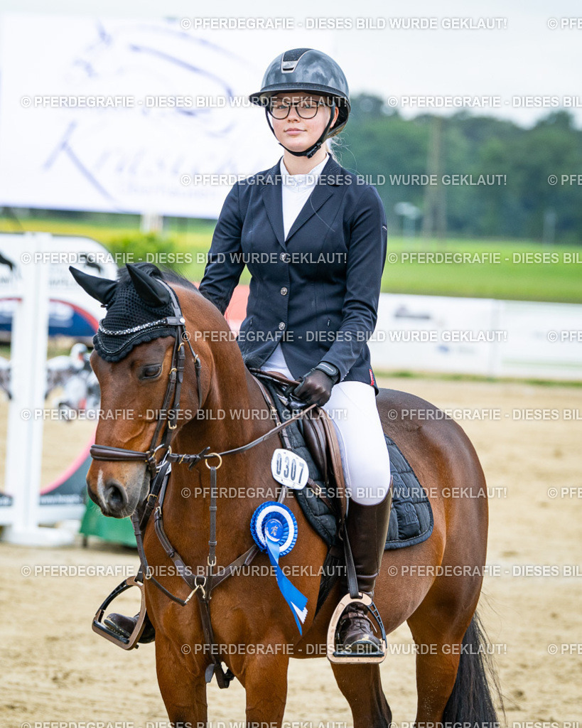 DSC03872 | Pferdegrafie