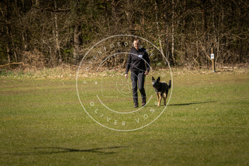 Pfotenfotografie_DV3A0484 | Hundefotografie, Tierfotograf, Pfotenfotografie, Fotoshooting Hund, Hunde Portrait, Hundesport, Hundeportraits, Heideshooting, Hunde, Sportfotograf, Hundefotograf, Turnierhundsport, THS,  - Realisiert mit Pictrs.com