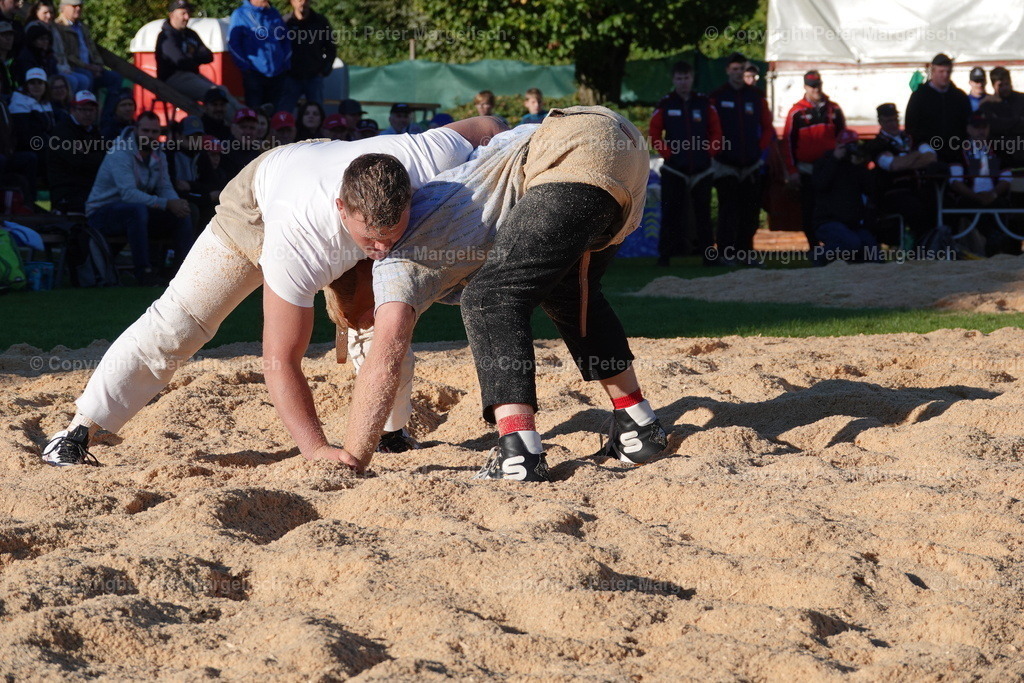 DSC01943 | Schwingen - Realisiert mit Pictrs.com