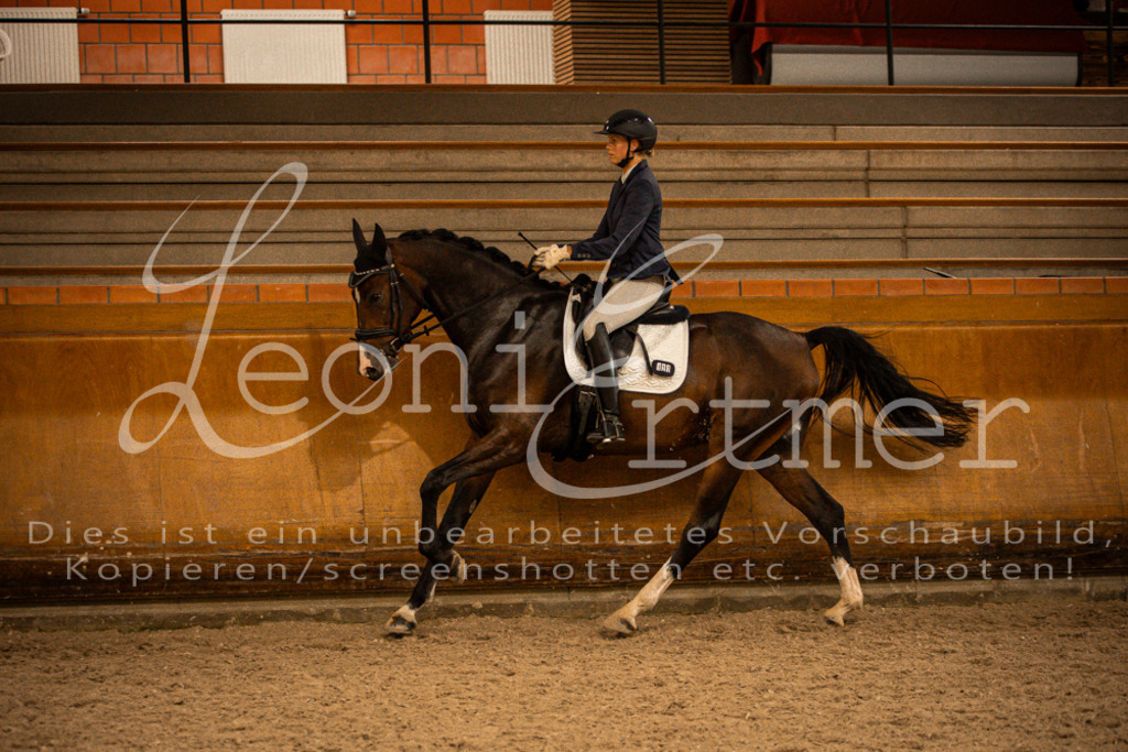 2Reiten00347 | Leoni Ertmer Photography - Realisiert mit Pictrs.com