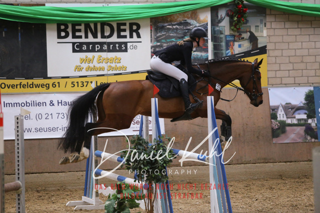 IMG_0651 | Turnierfotos kaufen im Webshop von Daniel Kuhl Photography – entdecke professionelle Reitsportfotos aus Turnieren & Events. Hochwertige Turnierbilder online bestellen & sichern. Jetzt Fotos von Reitsportturnieren kaufen!