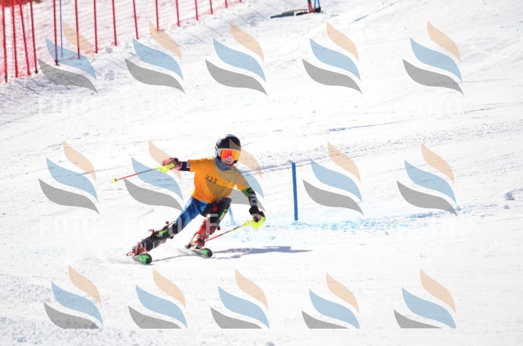 C9590 | holidayphoto