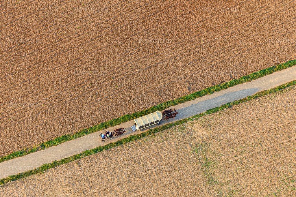 Luftbild: Planwagenausfahrt mit Pferden in Herxheim bei Landau im Bundesland Rheinland-Pfalz in Deutschland. Foto: IMG_073957.jpg vom 03.10.2014 durch Werner Riehm/FLY-FOTO.de