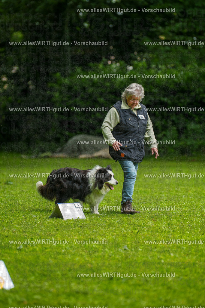 @allesWIRTHgut_Tierfotografie - www.allesWIRTHgut.de - 7R502674 | Professionelle Tierfotografie in Mönchengladbach von Daniel Wirth (allesWIRTHgut). Liebevolle & natürliche Bilder von Hunden & Katzen für unvergessliche Erinnerungen.