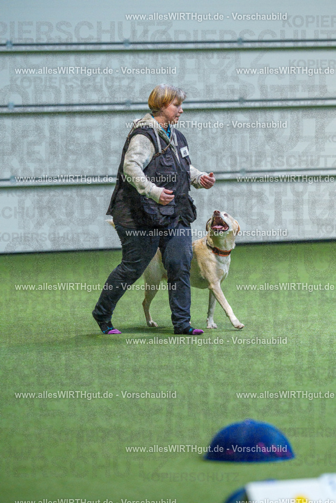 7R506334 | Professionelle Tierfotografie in Mönchengladbach von Daniel Wirth (allesWIRTHgut). Liebevolle & natürliche Bilder von Hunden & Katzen für unvergessliche Erinnerungen.