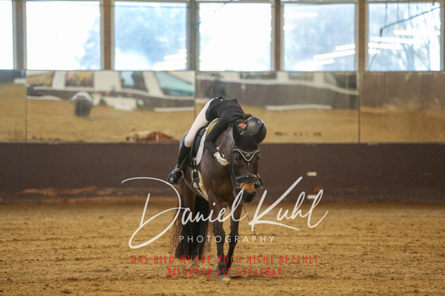 IMG_8249 | Turniersportfotografie; Pferdefotografie; Dressurfotografie