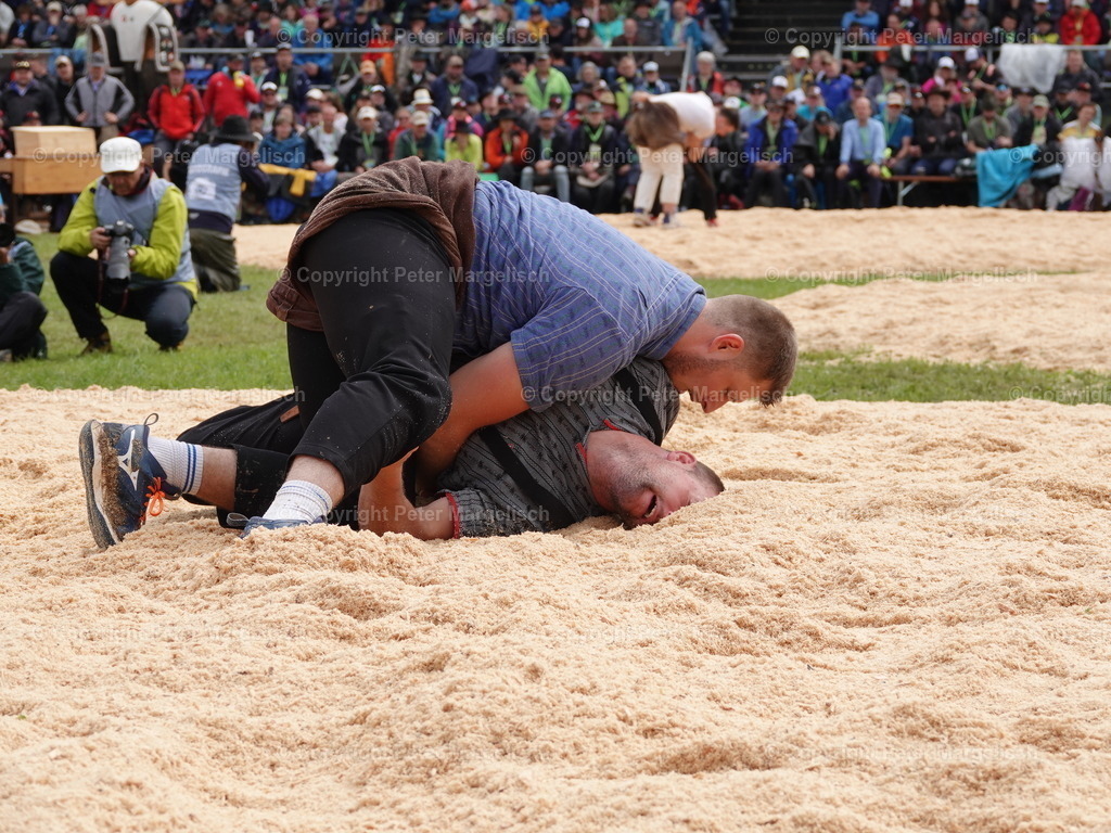 DSC08017 | Schwingen - Realisiert mit Pictrs.com
