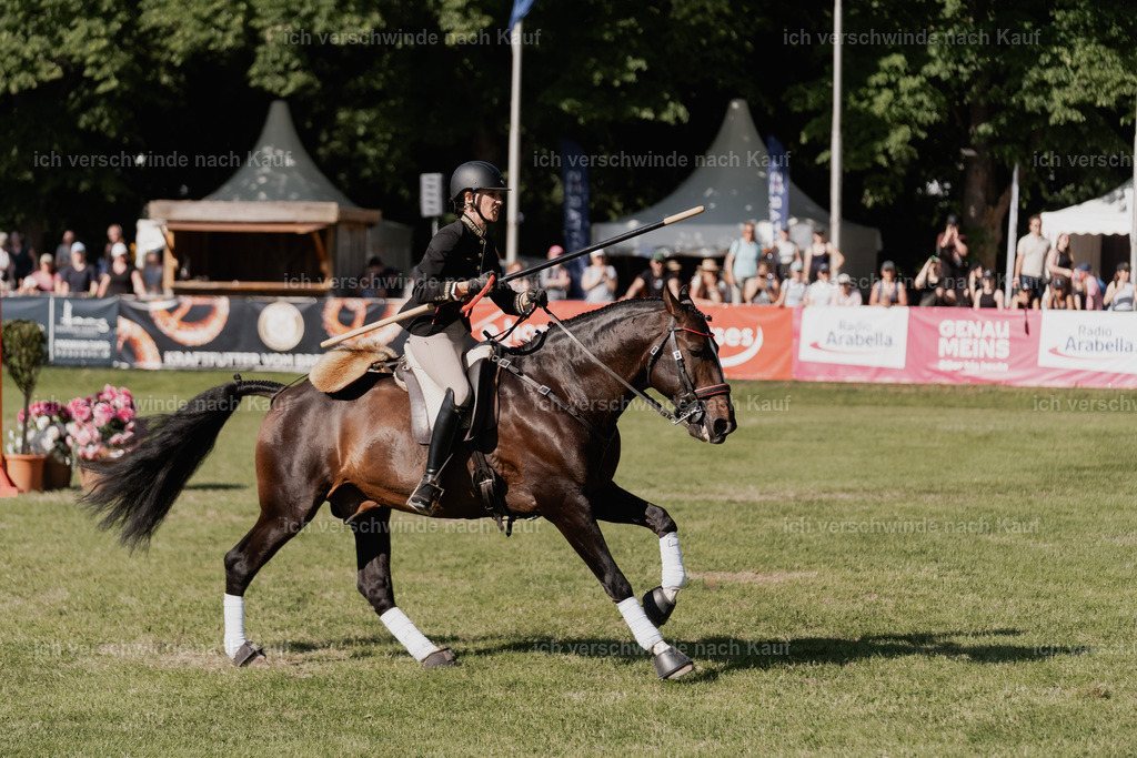 WE_MOS_Stoib_330_PI2025_2375 | Pferd International München 2025