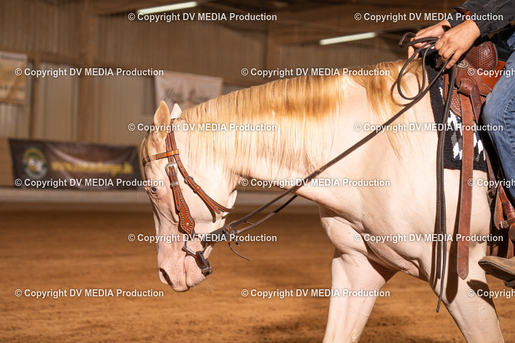 NID01021 | dv-media-shop - Realisiert mit Pictrs.com