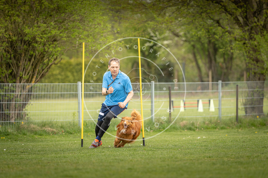 Pfotenfotografie_DV3A7361 | Hundefotografie, Tierfotograf, Pfotenfotografie, Fotoshooting Hund, Hunde Portrait, Hundesport, Hundeportraits, Heideshooting, Hunde, Sportfotograf, Hundefotograf, Turnierhundsport, THS,  - Realisiert mit Pictrs.com
