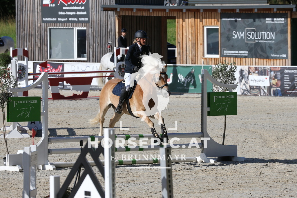 PP016280 | Willkommen bei Brunnmayr - Design & Fotografie – Ihrem Spezialisten für Reitturniere und Pferdeveranstaltungen in Oberösterreich, Salzburg und Bayern! Seit über 17 Jahren sind wir leidenschaftlich dabei.