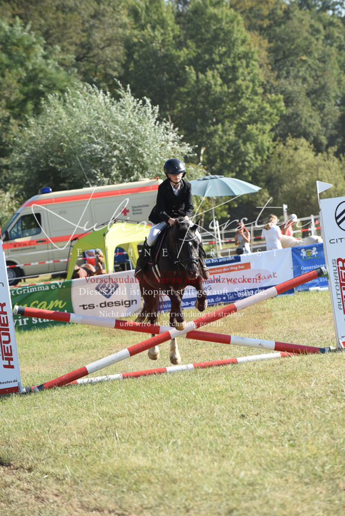 DSC_5754 | Pferde- und Turnierfotografie in Westsachsen. Pferdeportraits, Auftragszeichnungen und intuitive Kunst.