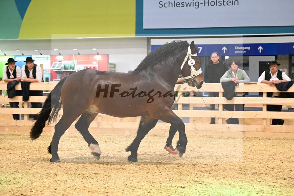 Kat-Nr. 5 Rubino II v. Rivero_Klement_1260088 | hf-fotografie - Realisiert mit Pictrs.com