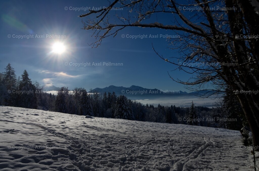 01-IMGP0503_v1 | fotografiert von Axel PollmannLeonhardi Wallfahrt Benediktbeuern und Murnau, Fronleichnam, Fasching, Landschaft im Loisachtal und Benediktbeuern  - Realisiert mit Pictrs.com